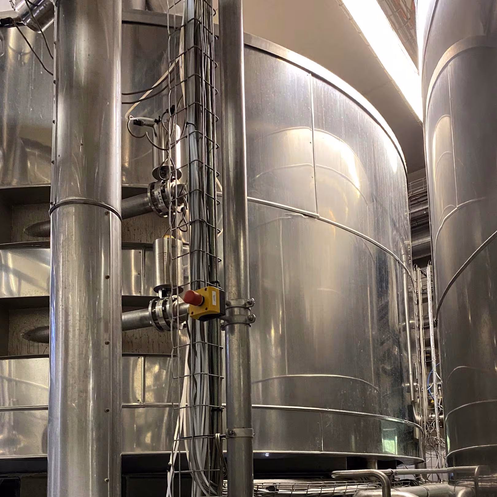 Kälteisolierte zylindrokonische Gärtanks ZKG mit Dampfsperre in einer Brauerei